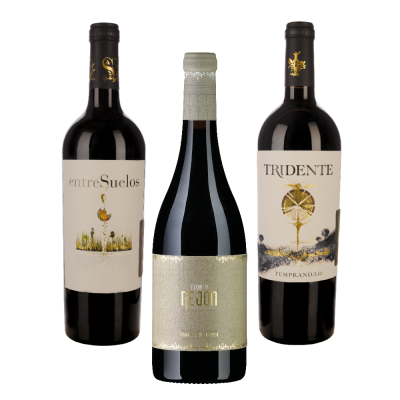 Tridente 3er Degustationspaket* für CHF 52.00 statt 73.00 Bodegas Tridente