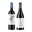 Llicorella Vins, Priorat Degustationspaket* für CHF 54.80 statt 78.90 Llicorella Vins/Gil Family Estate