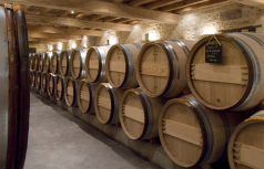 Winzer Château Canon la Gaffeliere