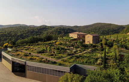 Winzer Tenuta Luce - Marchesi Frescobaldi