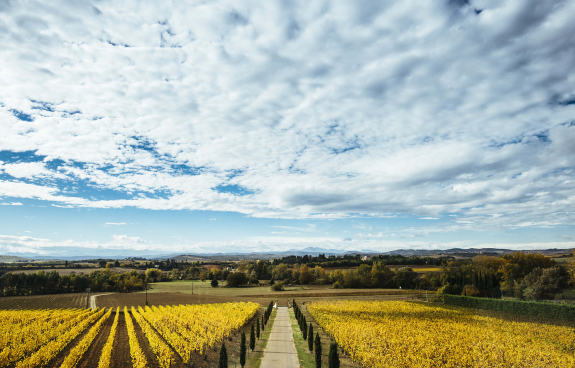 Domaine Gayda