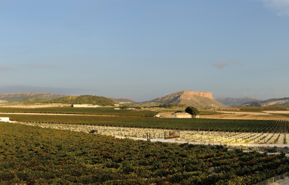 Winzer Bodegas Juan Gil