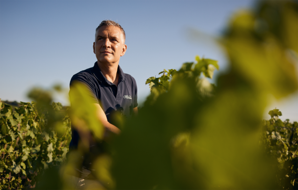 Winzer Weingut Wittmann