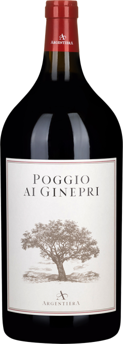 Poggio ai Ginepri Rosso  6 LITER Argentiera Bolgheri