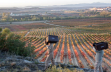Winzer Bodegas Roda