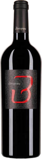 "B" Seleccio Tinto Binigrau Vins I Vinyes