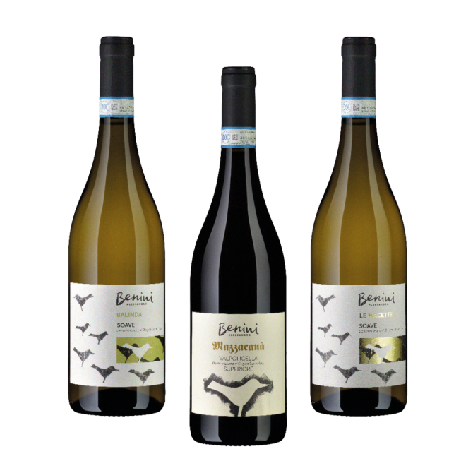 Benini Alessandro Degustationspaket* für CHF 39.50 statt 56.70 Cantina Benini Alessandro