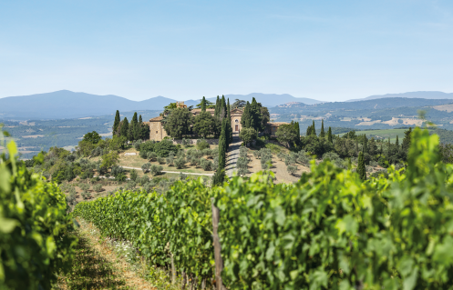 Winzer Tenuta CastelGiocondo - Marchesi Frescobaldi