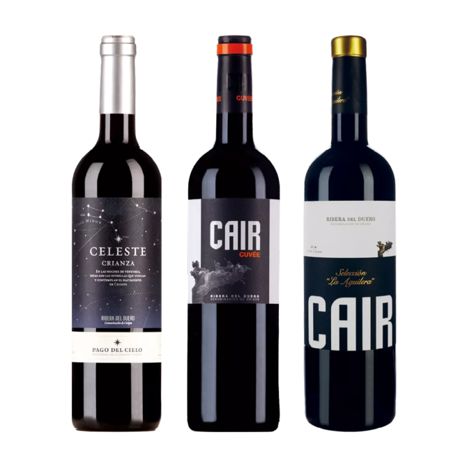 Ribera del Duero 3er Selektion* für CHF 53.00 statt 66.40 Bodegas Dominio de Cair