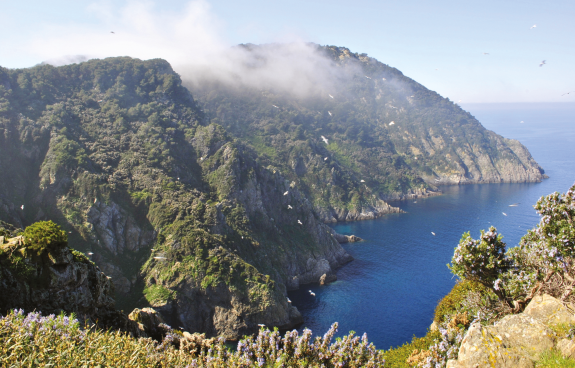 Winzer Gorgona - Marchesi Frescobaldi