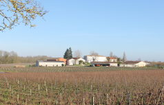 Winzer Château Mélignan