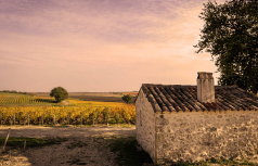 Winzer Château Sociando Mallet