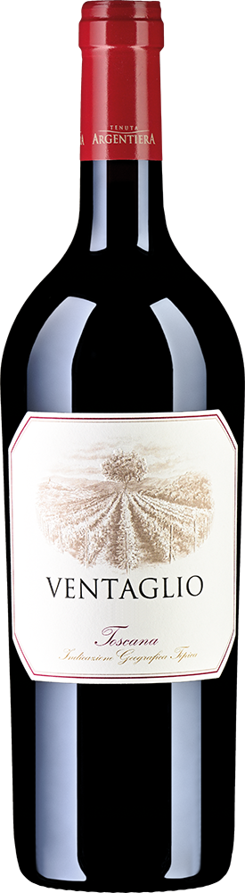 Ventaglio Argentiera Bolgheri